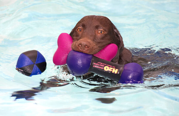 I've got that ball in my sight!