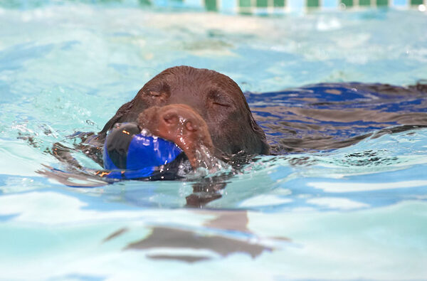 Is it a seal - no, it's George