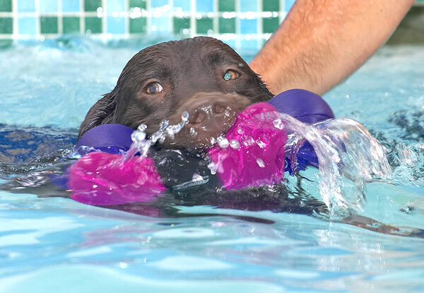 I don't need a helping hand, I'm an ace swimmer