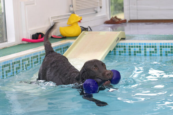 Well, this is HOW I dive in!