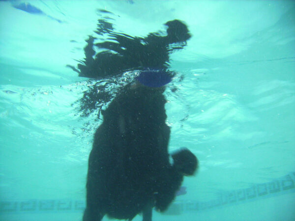 Yep, I'm a real water baby