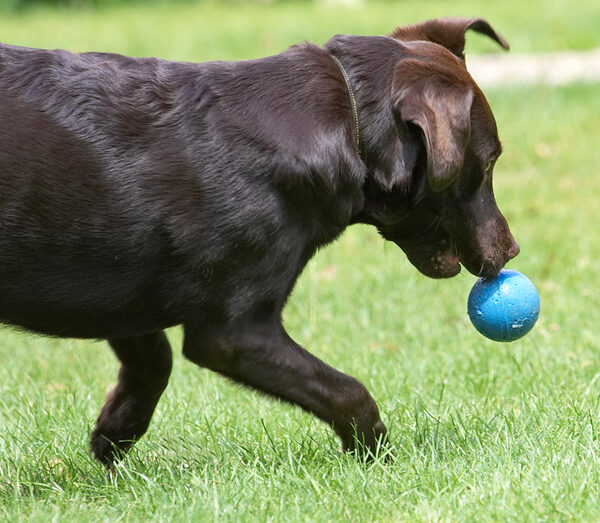 Ball balancing act!