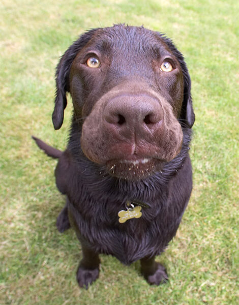 Does my nose look big?