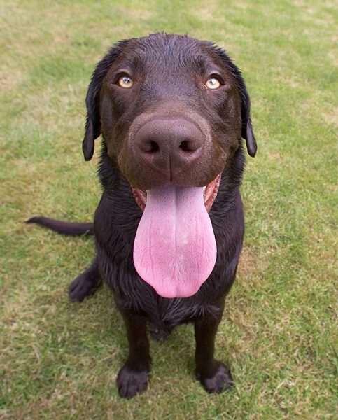 This is MY way of cooling down!