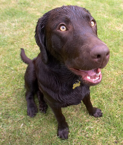 Haven't I got the most beautiful eyes......