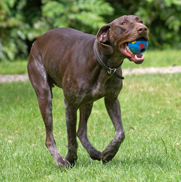 Ha, and they thought I didn't know how to catch balls!