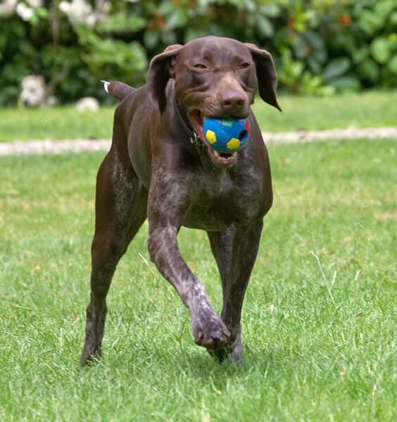 And, I'm bringing the ball back