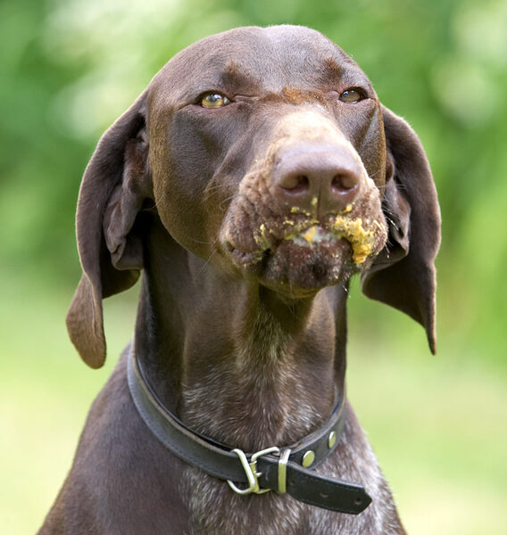 Yes, I know I've got a mucky face