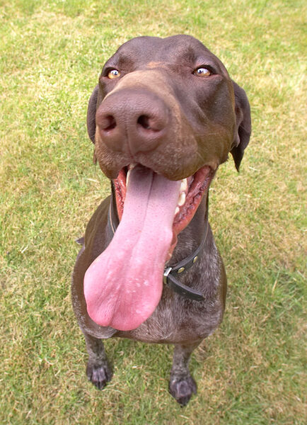 How long DO you think my tongue is?