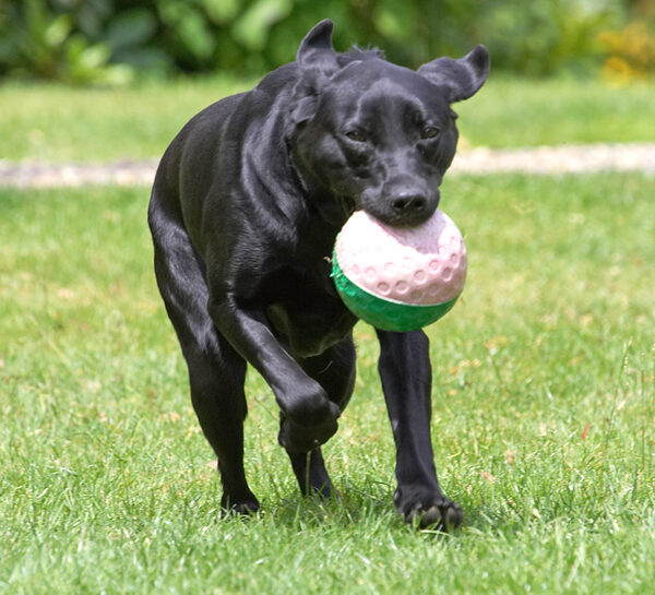 Now, this is what I call a man's ball!