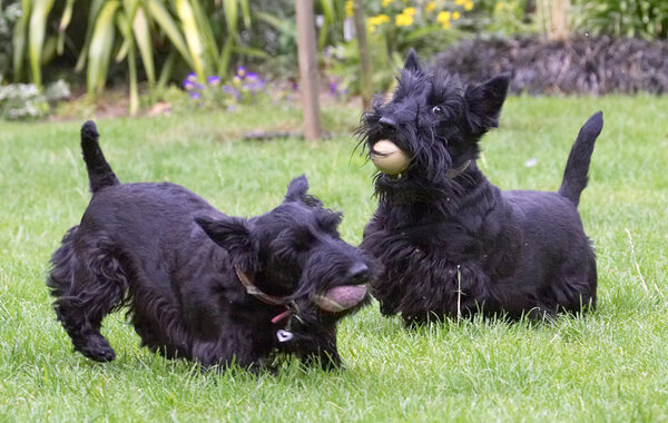 We're soooo happy playing together