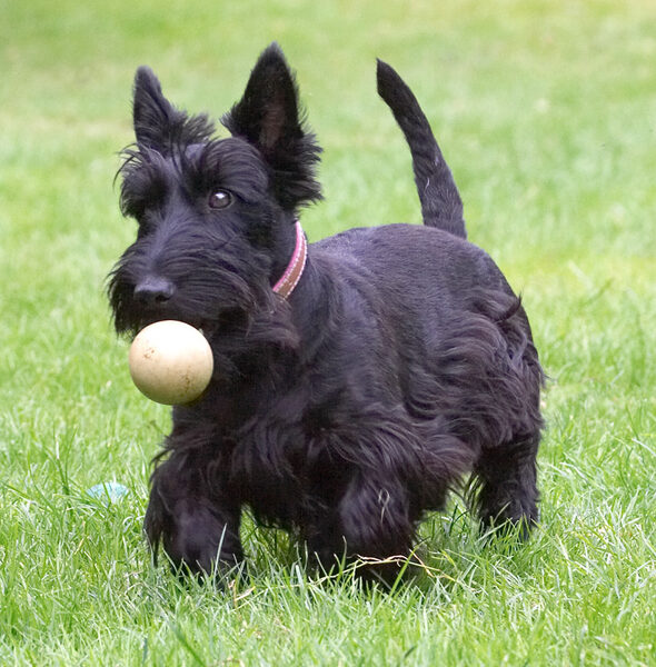 I really do have a grip on this ball