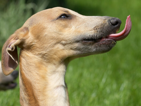 Wow, I can see my tongue