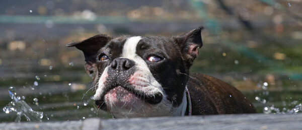 Look, I can splash