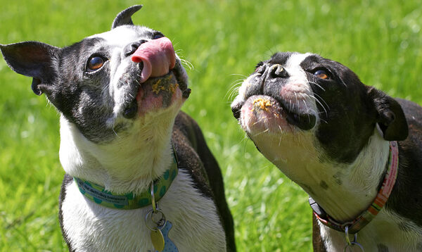 We're keeping our eyes on that peanut butter jar