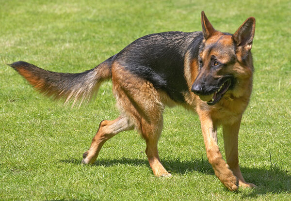 Is the ball coming my way?
