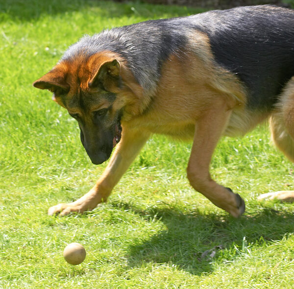 I've got my eye on the ball