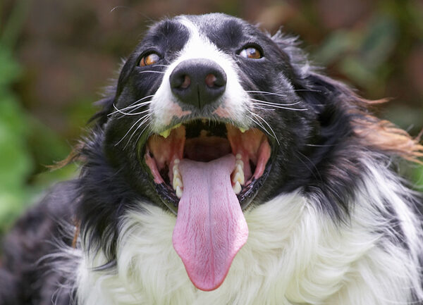 Yep, my tongue really is this long