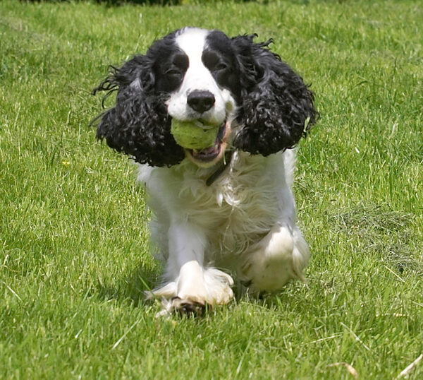 I got the ball
