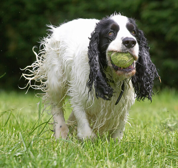 Boy, they're making me work, first the barbell now the ball