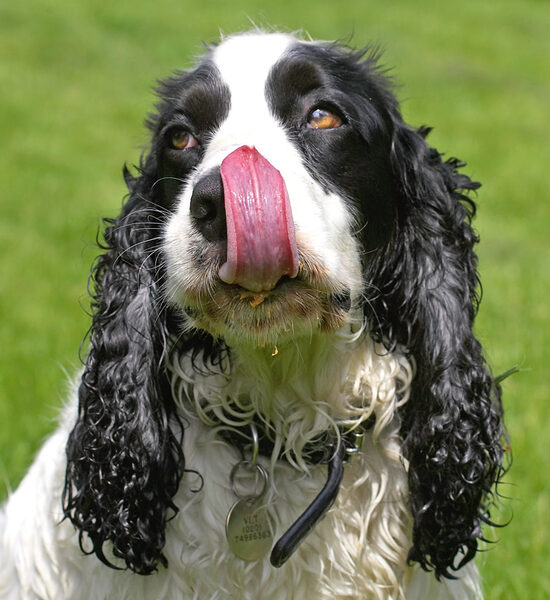 At least my tongue is getting lots of exercise