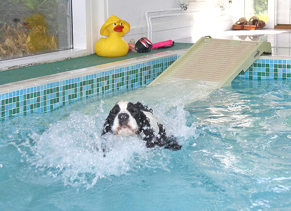I like making a splash