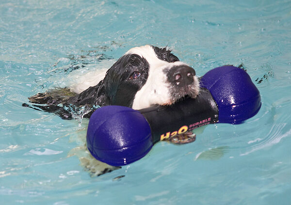 Retrive and swim for shore - and do it all over again