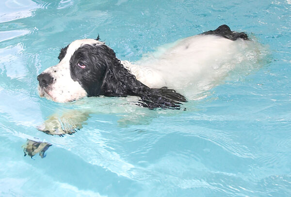 This is a demonstration of my swimming stroke