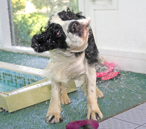 Towels are for wimps!
