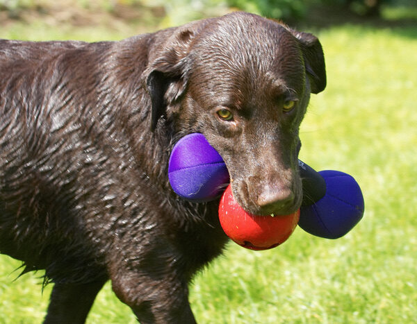 Just 'cos I can - OK?!.........