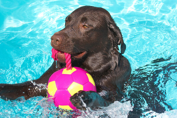 I'm still trying to get the hang of this swimming lark
