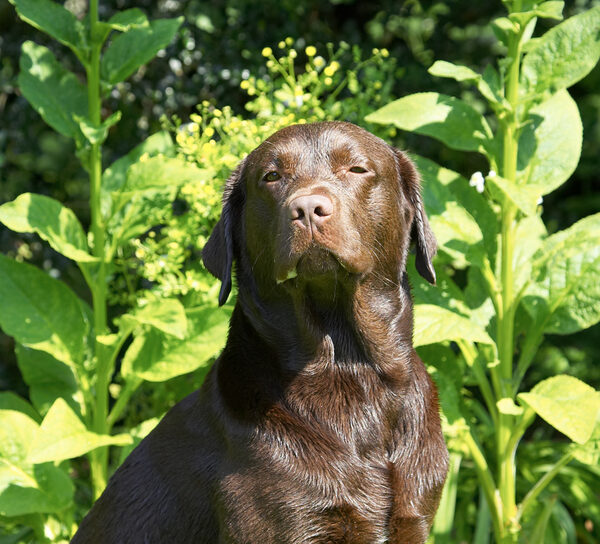 I'm good at this posing aren't I!