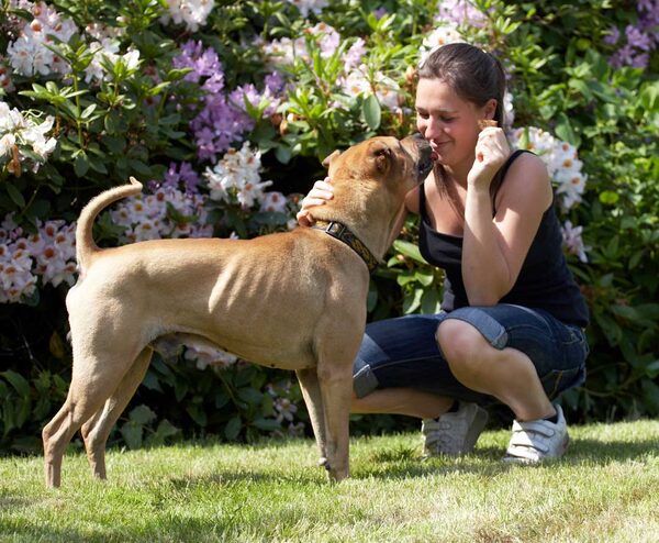 .......... no, I'll lick you