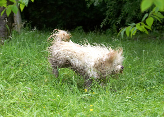 Ooh, perhaps I got a bit too wet