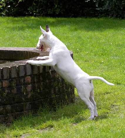 How DOES Rupert do that?