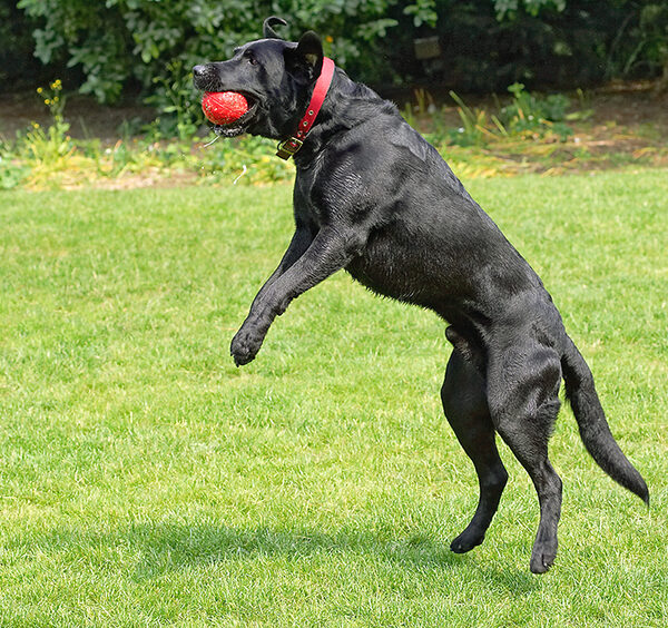 .......... and a bullseye