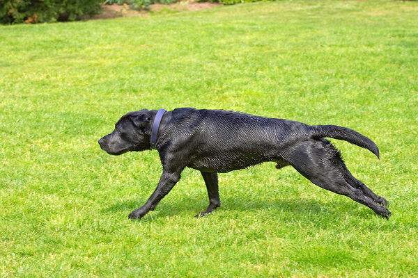 Streeeeeeeeeeeeeeetch