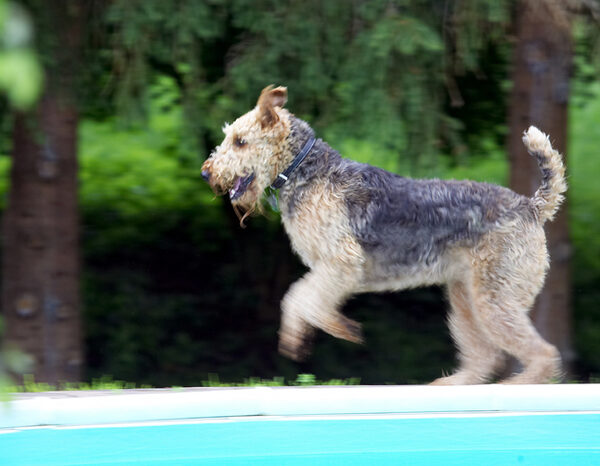 Time for a romp .........