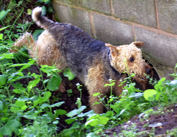 I'll just have a root around here