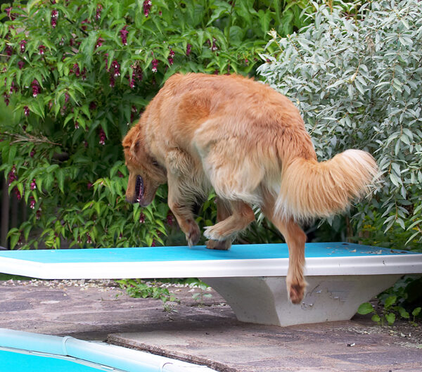 I'm off ..........