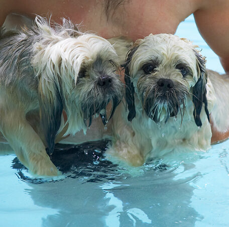 OK, who booked the swimming lessons?!