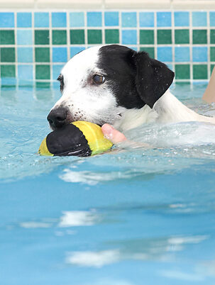 I am not letting go of this ball