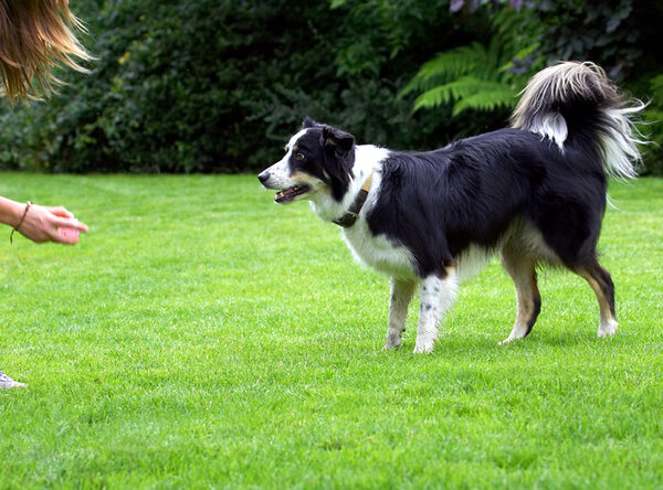 Well, go on, throw...........