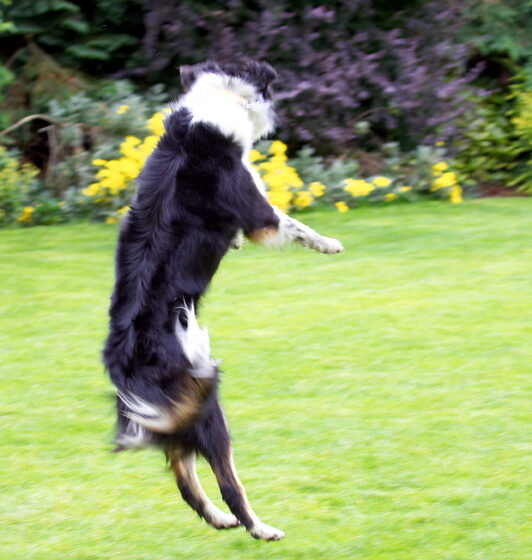 Whoa, what a leap
