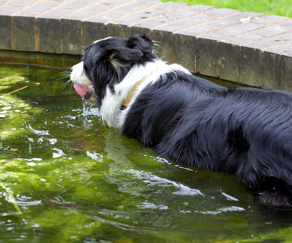 Time to cool off