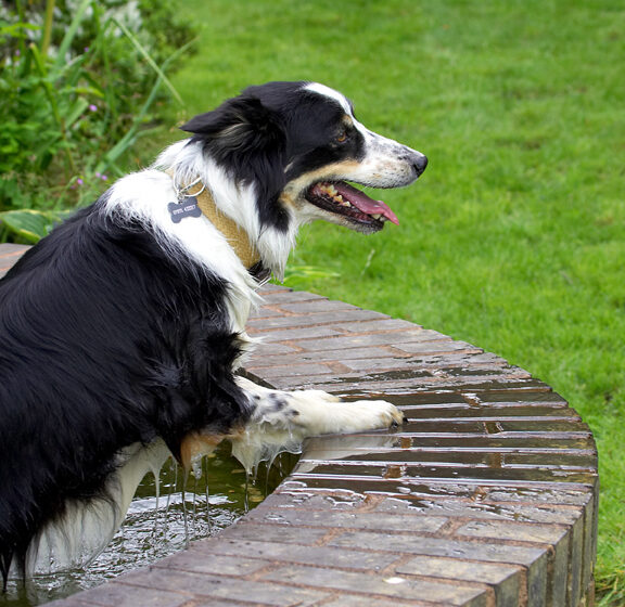 That's enough cooling off