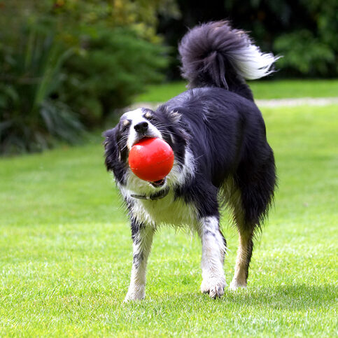 ........ no ball is too big for me ...........