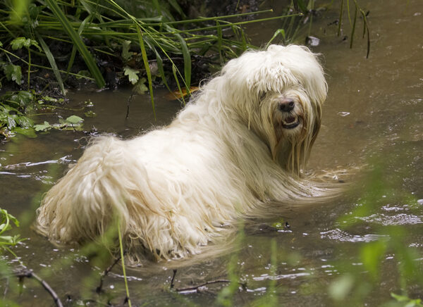 Jus' cooling off