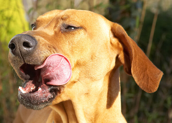 But I can also be a boy and really work my tongue