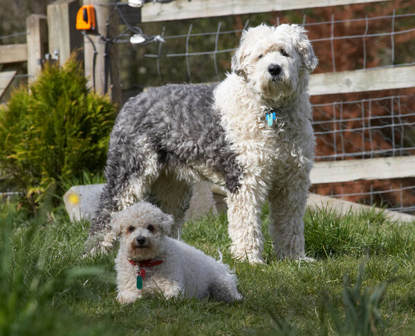 Little and large
